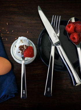 法国进口Opinel西餐Perpetue不锈钢餐刀餐叉汤勺咖啡勺牛排刀套装