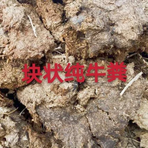 纯干牛粪块天然发酵农家有机种花种菜家庭园艺牛屎牛粪饼牛粪块