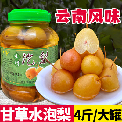 李明泡梨蜜饯零食大罐礼品