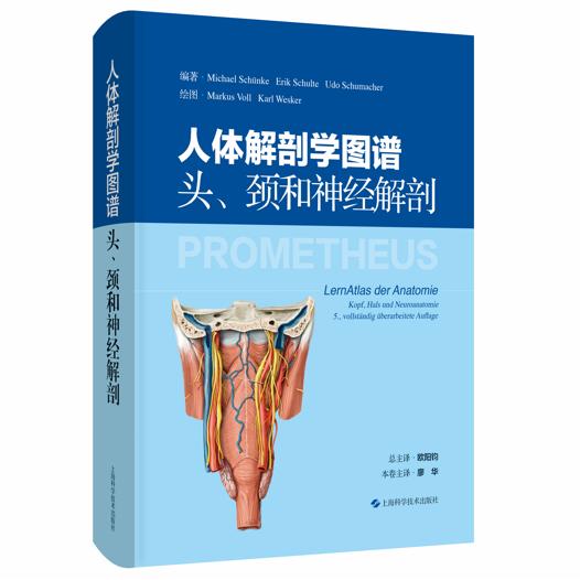 人体解剖学图谱:头、颈和神经解剖 [德]米夏埃尔·许默 欧阳钧 总主 精装 上海科学技术出版社9787547876329