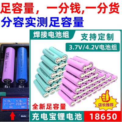 18650锂电池电动5c榨汁机带焊片