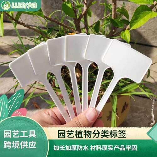 防水花卉地插植物标签盆栽园艺分类标识牌塑料绿植插地花卉园艺