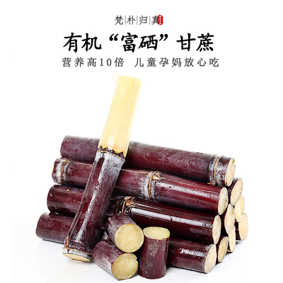 【营养高10倍】有机富硒甘蔗现采