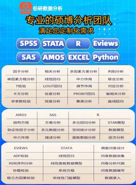 数据分析医学meta问卷调查R语言amos咨询Python辅导stata实证