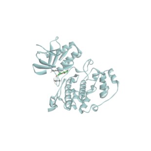 分子对接/虚拟筛选/各类小分子/出图/辅导业务/可视化/2023