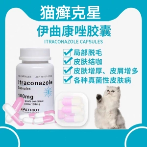 Кошка, звонящее ivonazole capsule pet rong rong Кот мх и стригущий лирийный лишай