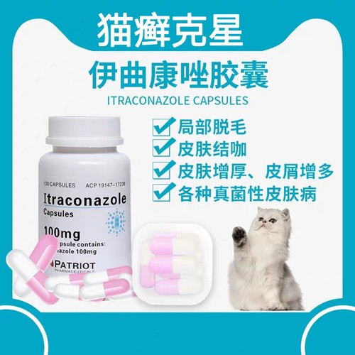 猫癣狗癣伊曲康唑胶囊宠物皮肤病