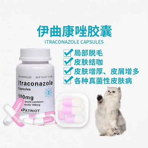 猫癣狗癣伊曲康唑胶囊宠物皮肤病