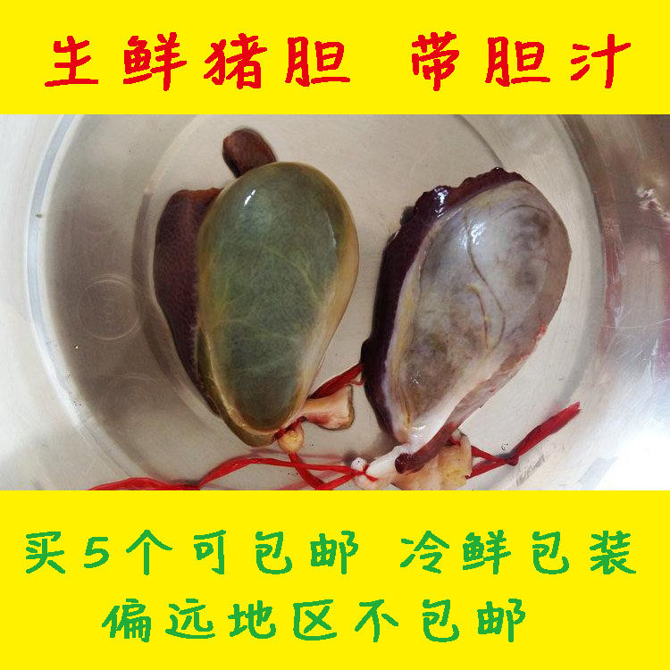 杀猪人家猪胆水  新鲜猪胆 猪苦胆干 猪胆汁 当天猪胆囊拍5个包邮