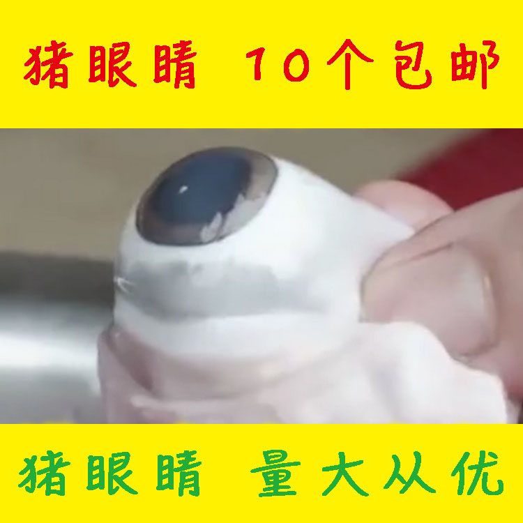 【可开发票】生鲜猪眼睛 猪眼泪猪眼球猪眼睛 烧烤食材 鲜猪眼睛