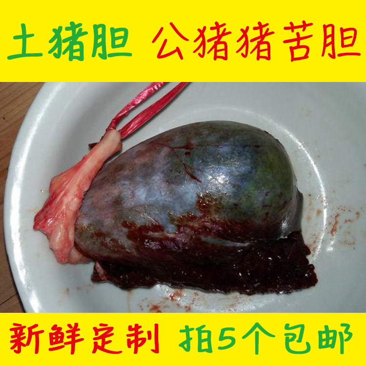 新鲜猪胆 浏阳黑土猪 猪苦胆 公猪大猪胆 农家现杀现取黑猪胆