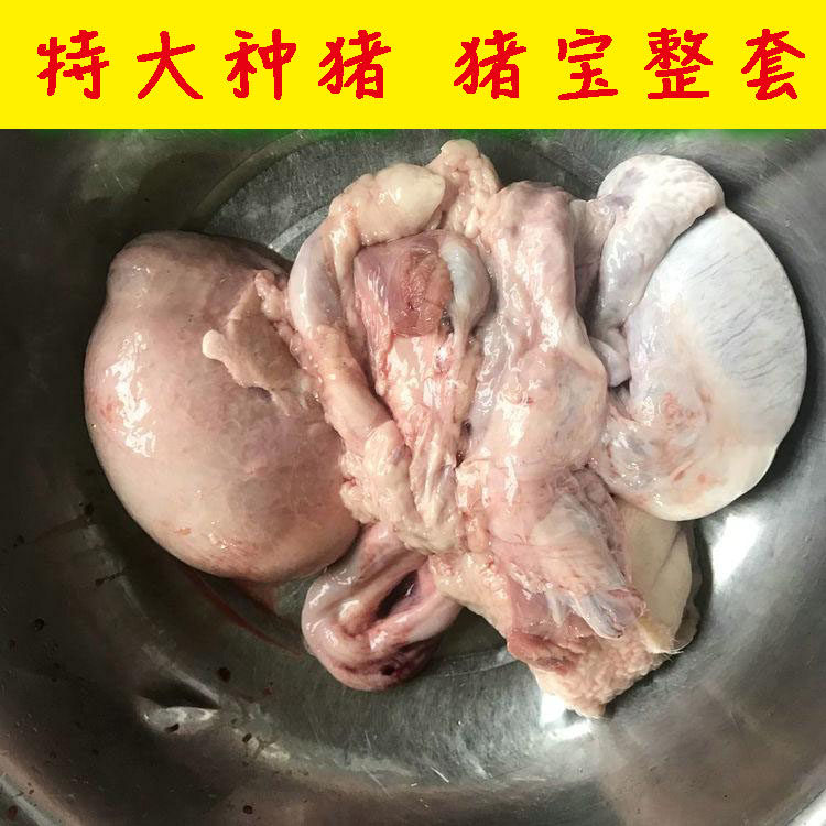 【种猪猪鞭 猪宝猪蛋 2斤一整套】 一整套猪鞭加猪蛋猪睾丸