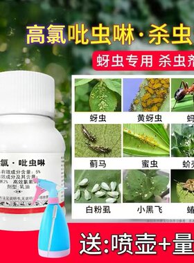 吡虫啉蚜虫杀虫剂月季花病虫农药