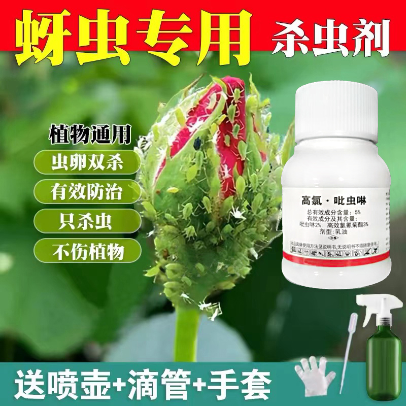 吡虫啉杀虫剂多肉蚧壳虫小白药花卉月季果树白粉虱蓟马蚜虫专用药
