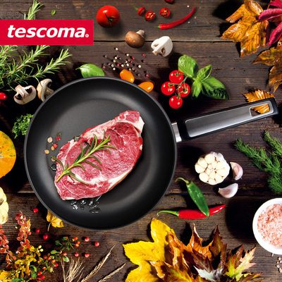tescoma捷克进口少油烟平底锅