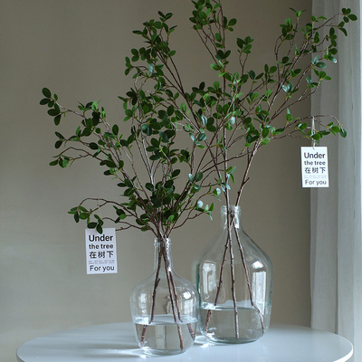 高仿真手感胶片椿树叶家居氛围神器好打理