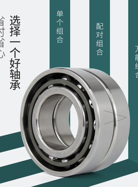 日本BPJ进口轴承 7313C AC B P5 P4 P2 DB DF DT TBT 电主轴 机床