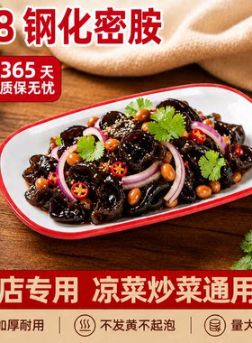 10个装长方形仿瓷盘