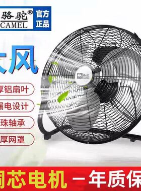骆驼工厂电风扇台式落地工业风扇强力大风力工地家用超静音趴地扇