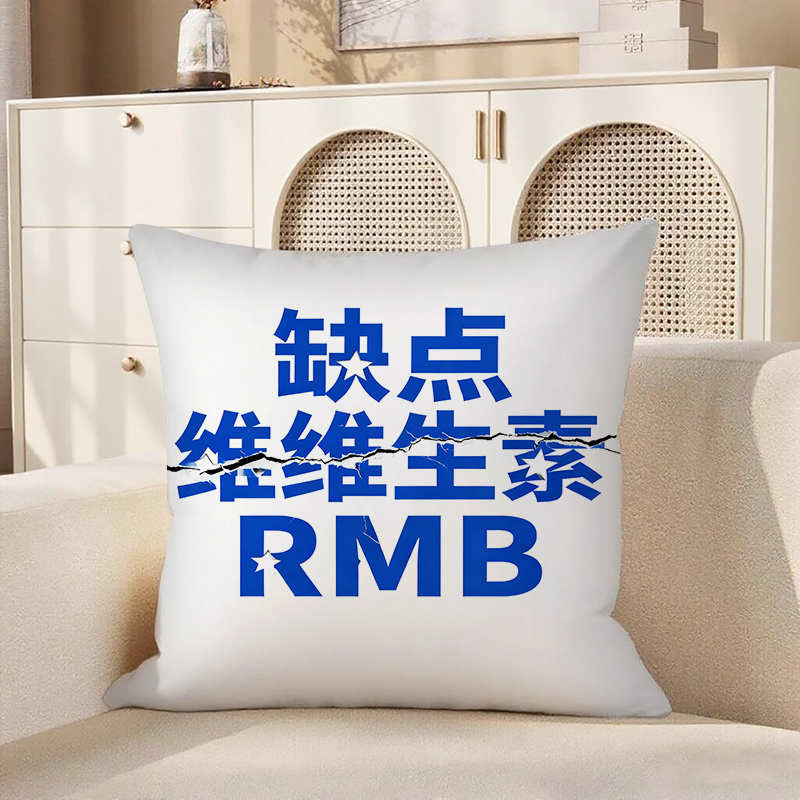 白底篮字缺点维生素RMB抱枕含芯宝宝绒暴富高级感靠枕家用文字双