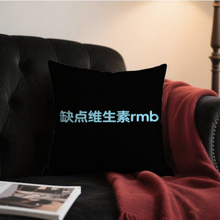 黑底篮字缺点维生素rmb抱枕含芯桃皮绒创意靠垫原创ins风高级感午