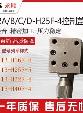 F22B-H25F调压溢流压力阀两通逻辑伐油液压打包机滑芯插件F21盖板