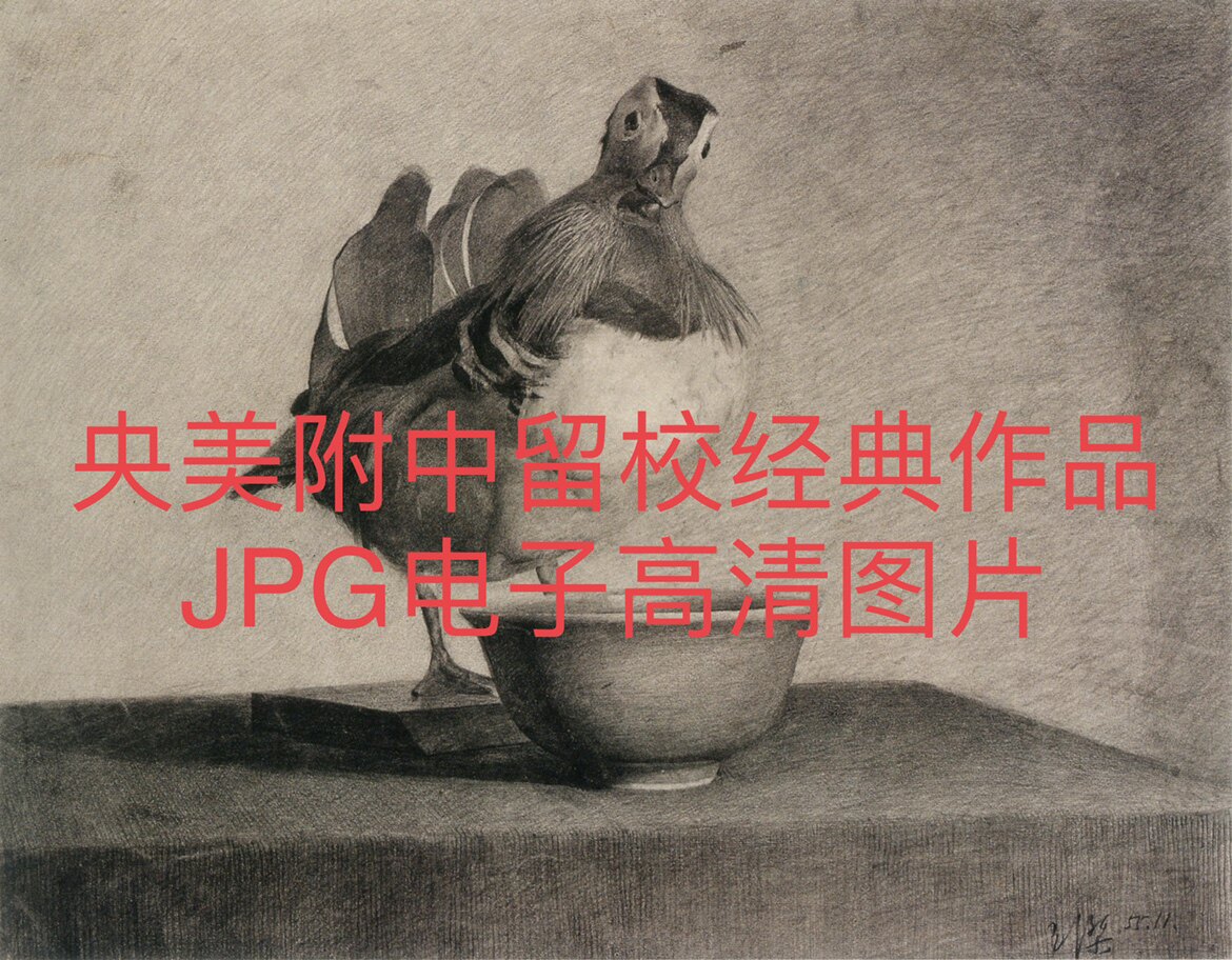 央美附中留校作品 素描大范本静物石膏头像半身像jpg高清图片素材
