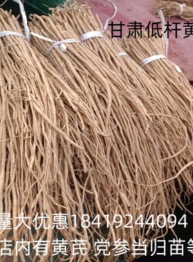 黄芪苗500克包邮量大可优惠黄芪种子种苗当归苗党参苗均有种植苗