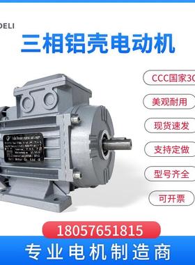 三相异步电动机全铜380V220YE3国标铝壳马达YS德力三相电机GS8024