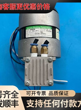 议价20RNS（220V）Oil-less，真空负压泵，可维修