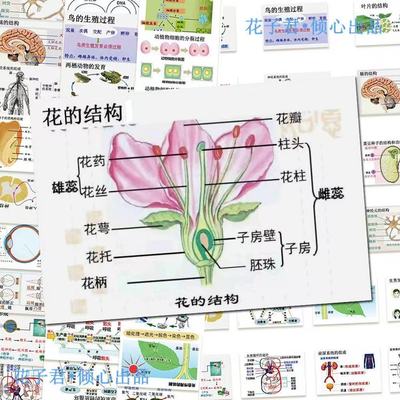 128张生物笔记知识点贴纸学习知识素材桌面笔记本装饰防水贴画diy