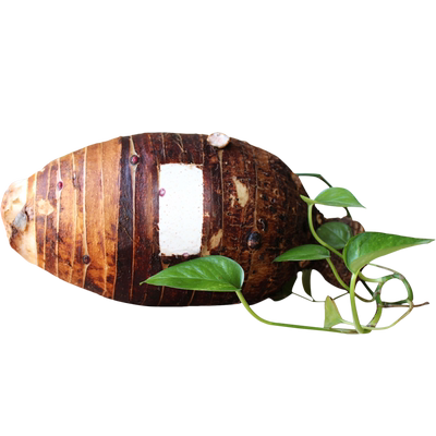 产地直发荔浦芋头鲜果村不粉包赔