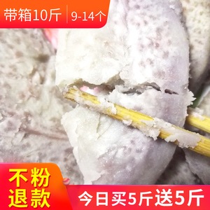 正宗广西特产荔浦芋头 新鲜槟榔香芋紫藤芋包邮荔浦发货