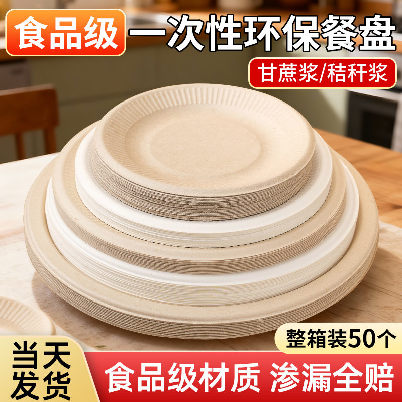 一次性餐盘餐具蔗浆食品级盘子碗筷碟加厚纸盘可降解画画烧烤家用