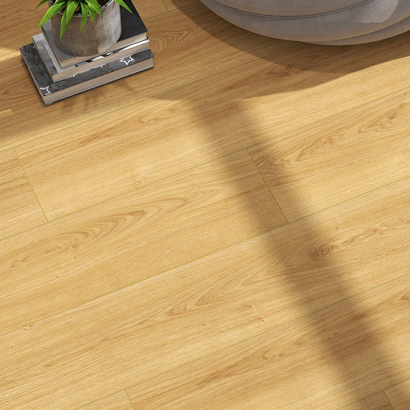 包安装圣象强化复合木地板ENF无醛添加环保抗菌锁扣儿童地板N0621