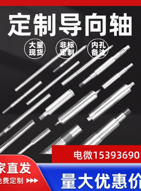 LOF01 06 LOG01 06 31 33 LOH01 31 61-D2D3D4D5D6导向轴支持定制