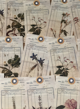 植物花卉书签背景纸 junk journal 手帐拼贴装饰摆拍素材纸