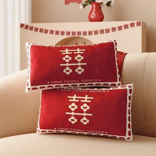 红色喜庆结婚抱枕红色双喜字订婚婚房氛围感装饰靠垫长方形靠枕套