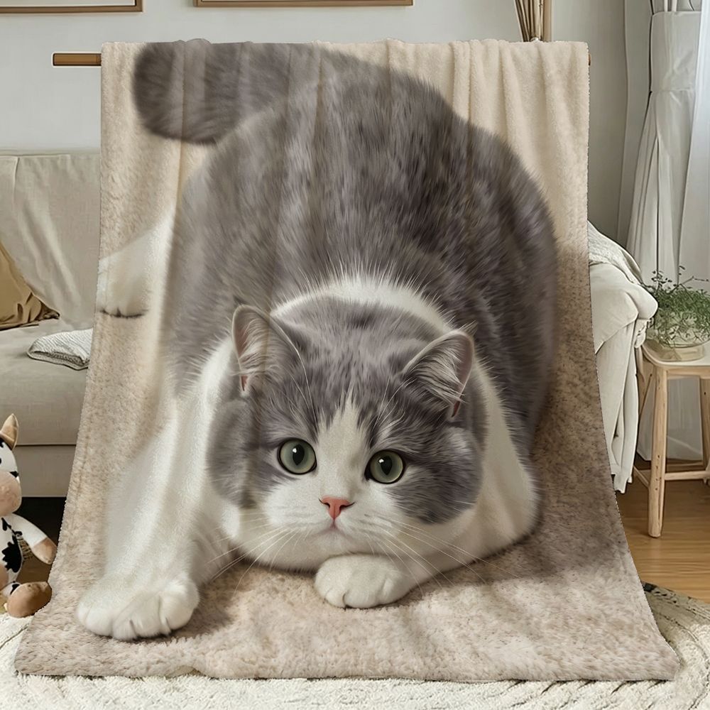猫咪图案毛毯胖橘法兰绒办公披肩毯车载沙发盖毯卧室轻薄空调毯