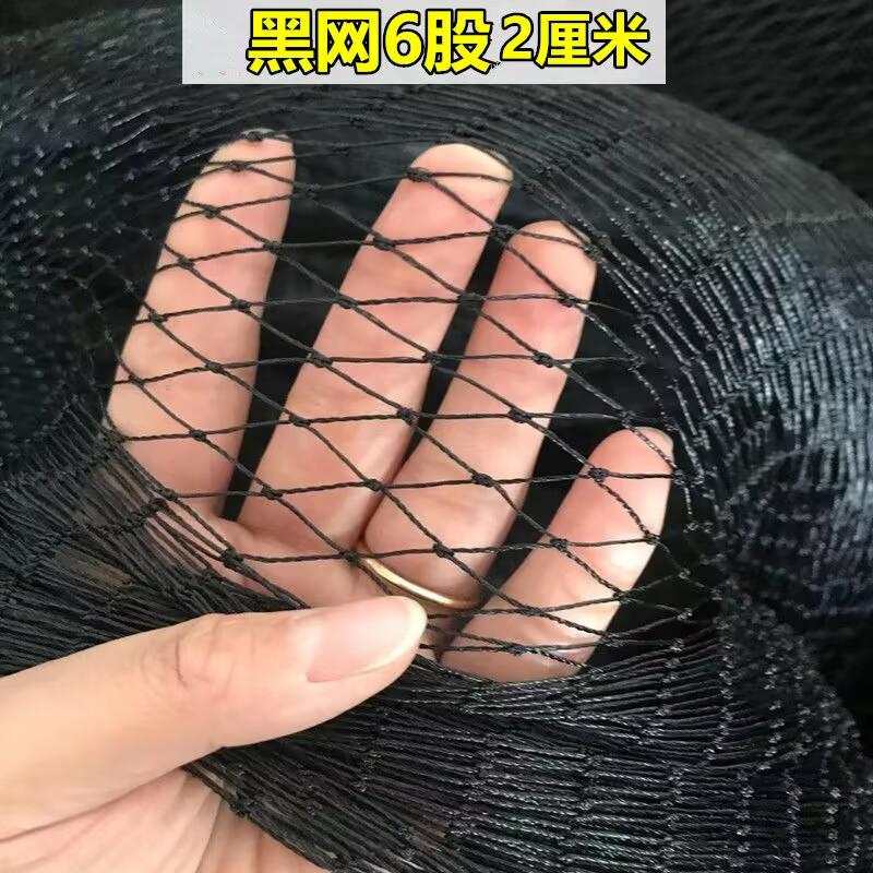 防鸟网养鸡网围栏网果园用网