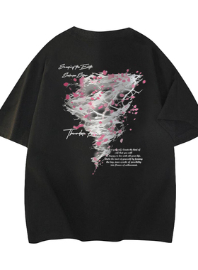 樱花风暴季风气候字母印花美式高街短袖T恤 男女同款