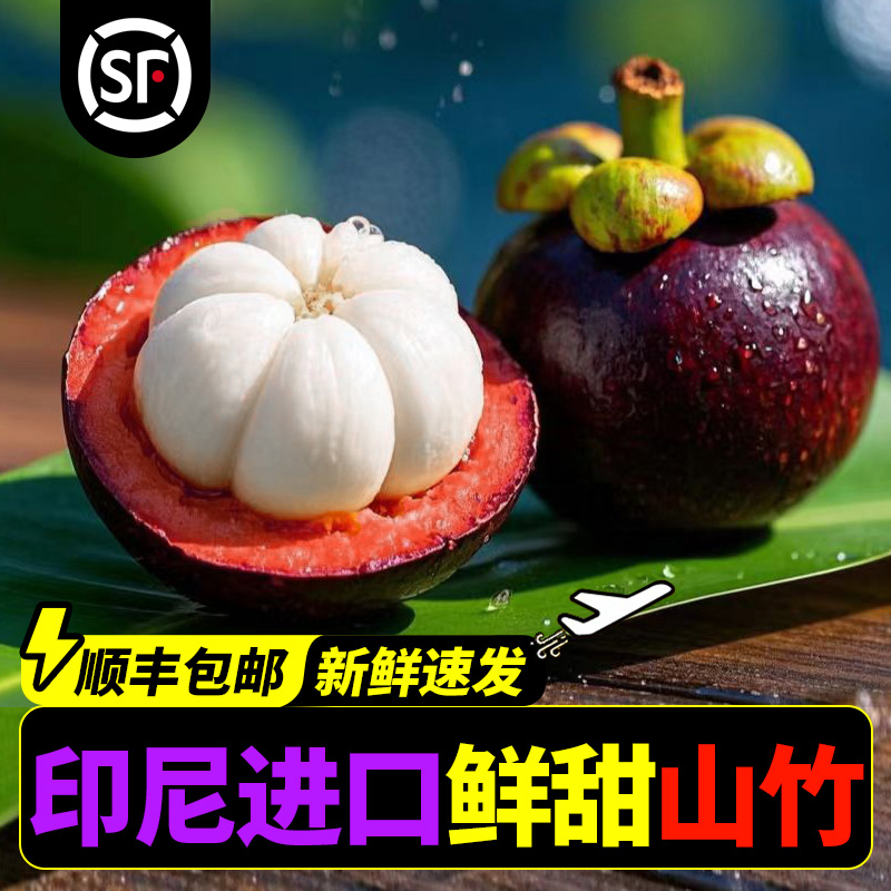 【官方推荐】印尼进口山竹5A大果