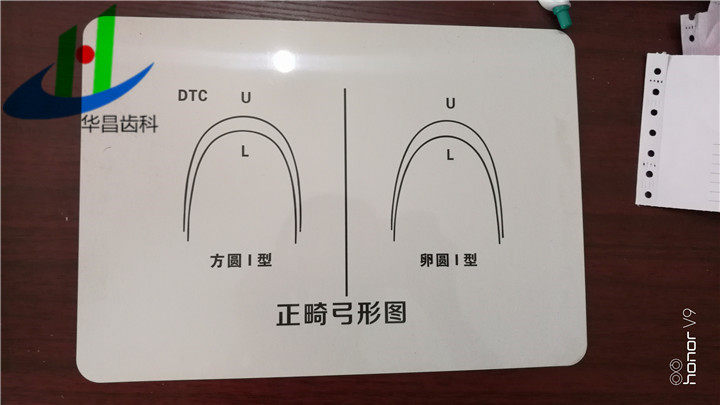 牙科材料口腔标准正畸弓形图 上颌标准弓形图 镍钛丝弯制图