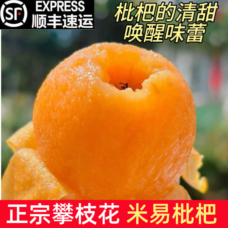 米易枇杷特大果当季四川攀枝花新鲜大五星琵琶甜孕妇水果整箱5斤