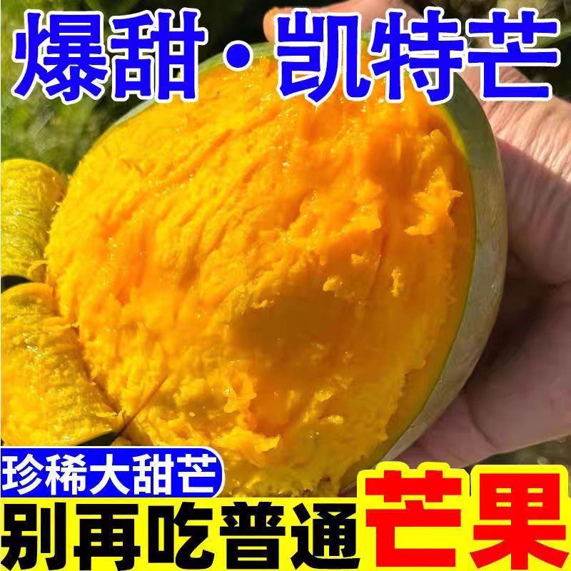四川攀枝花凯特芒果应当季新鲜水果大芒果青皮芒果包邮攀枝花芒果