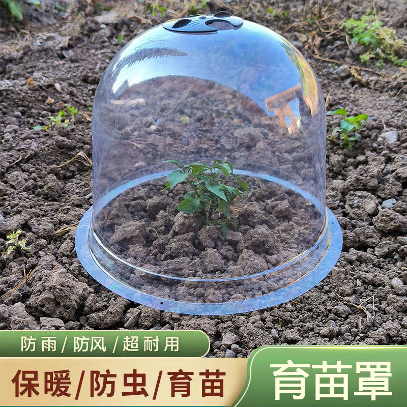育苗保温罩植物过冬闷养恒温御寒保暖专用加仑盆带盖子保护保温棚