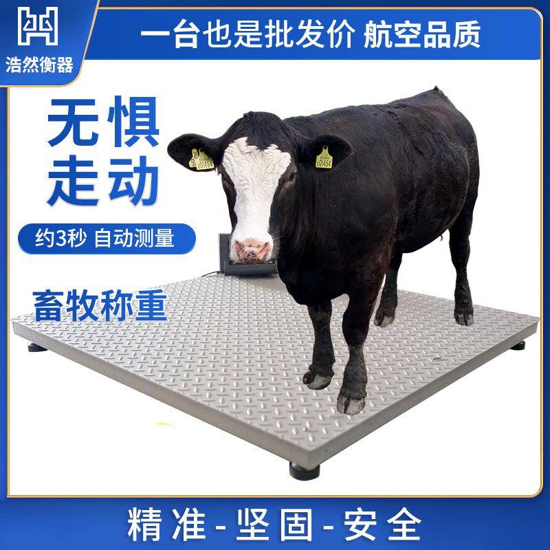 南京不锈钢型电子小型磅秤物流电子秤1吨2吨3吨称猪牛畜牧地磅秤