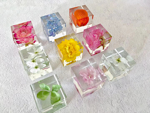 【小立方】植物樱花标本立方体树脂滴胶干花礼物非日本sola宙