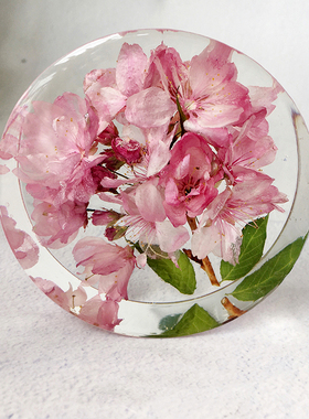 【圆樱花】镇纸植物标本摆件水晶滴胶干花节日礼物 尺寸：8x8x4cm