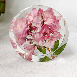 【圆樱花】镇纸植物标本摆件水晶滴胶干花节日礼物 尺寸:8x8x4cm